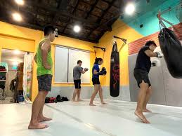 best boxing gym boxing cles