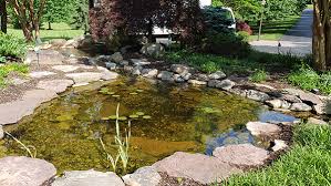 Are Rocks And Gravel Safe For A Pond