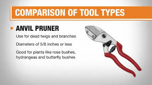 best pruning shears for your yard the