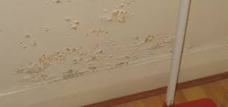We did not find results for: What Is Rising Dampness And How You Can Fix It In 3 Diy Steps