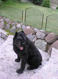 Znalezione obrazy dla zapytania SASIADKI