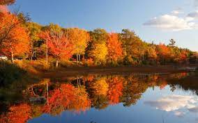 6 of the most stunning places to view New England's autumn foliage - SilverKris