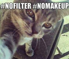 makeup selfie trending images gallery