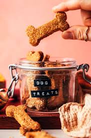 easy peanut er pumpkin dog treats