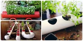 12 original pvc pipe planter ideas for
