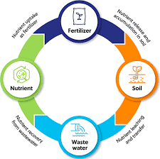 Sustainable Fertilizers Publication
