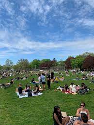Trinity bellwoods park is located at strachan and queen street west in toronto, ontario. My Friend Just Sent Me This Picture From Trinity Bellwoods May 22 At 5pm Toronto