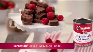 carnation clic five minute fudge