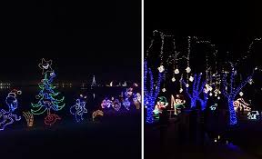 moody gardens festival of lights