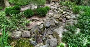 Tips For Landscaping On A Slope