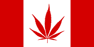 Image result for marijuana canada