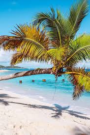 st john usvi complete travel guide how