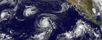 El Niño Pacific Wind And Current Changes Bring Warm Wild