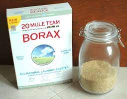 using borax for ants 4 recipes tested