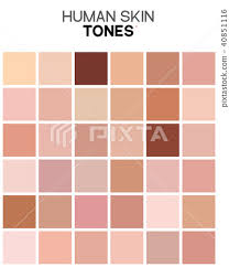 Skin Tone Color Chart Human Skin Texture Color Stock