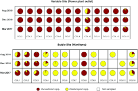 Pie Charts Showing Symbiont Associations Between Cladocopium
