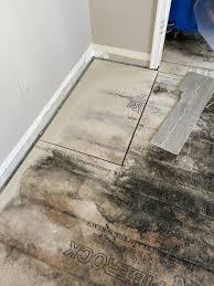 mold removal naples fl floods of sw