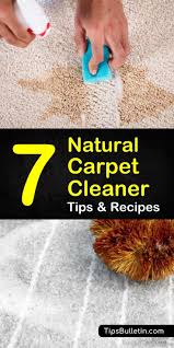 7 simple organic carpet cleaner recipes