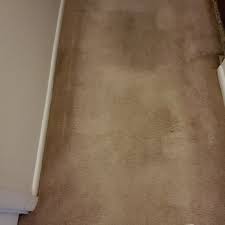 l m carpet care updated april 2024