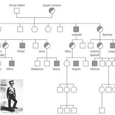 In the 19th and early 20th centuries, it often resulted in early death due to uncontrolled bleeding. The Family Tree Of Queen Victoria Reproduced With Permission Of John Download Scientific Diagram