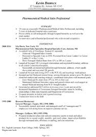 sales resume summary