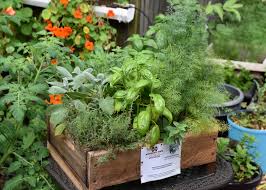 Southern Gardening Container Gardens