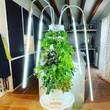 Can I Grow On A Tower Garden Indoors