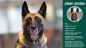 Tsa Releases 2024 Canine Calendar