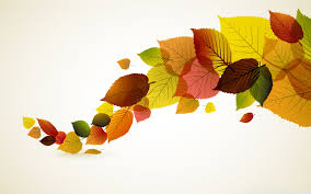 autumn leaves background ultra hd