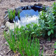 25 Homemade Diy Pond Ideas For Backyard
