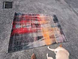 rug cyrus rugs carpets gumtree