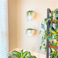 Self Watering Wall Planter Indoor Wall