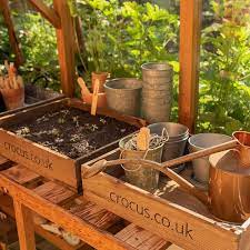 Wooden Seed Tray Pine Seeds Wooden