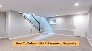 how to dehumidify a basement naturally