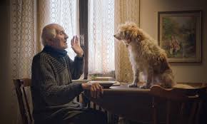 As a family movie it succeeds with some. The Truffle Hunters Review Strange And Charming Ode To Rare Dogs Toronto Film Festival 2020 The Guardian