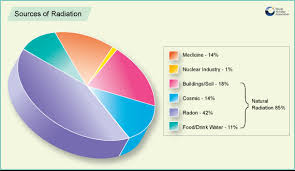 Pie Chart On Sources Of Radiation Nuclear Medicine
