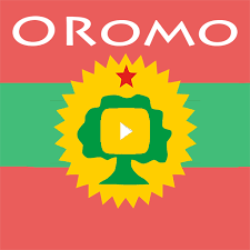 Properties for sale below rm 1m. Oromo Tube Apps On Google Play