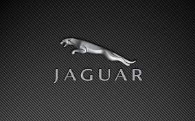 jaguar logo 1080p 2k 4k 5k hd