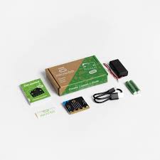 micro:bit V2 Go - Strawbees