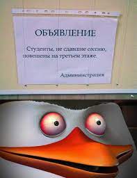 ОБЪЯВЛЕНИЕ Студенты, не сдавшие сессию, повешены на третьем этаже. Ад мини  нстра ция  приколы про студентов (студенческие шутки и юмор, видео,  веселая студентота) :: картинка с текстом  смешные картинки