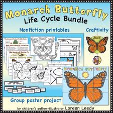Monarch Butterfly Life Cycle Bundle