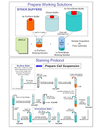 transcription factor buffer set