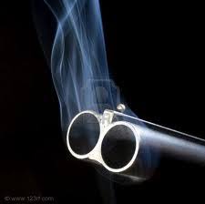 Image result for smoking gun