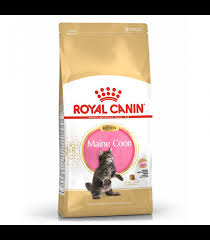 royal canin maine 2kg kitten dry