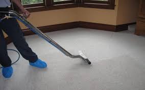 carpet cleaning near me s terry