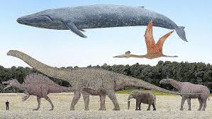 We Posed These Prehistoric Animals Next To Human Beings
