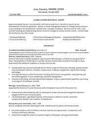 Show them that you have what it takes. Human Resources Manager Resume Example Service