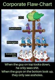 Corporate Flow Chart Funny Pictures Funny Memes Best