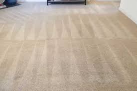 true clean carpet cleaning