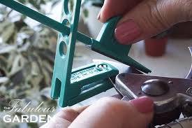 Recommended Tools To Sharpen Secateurs